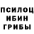 Псилоцибиновые грибы GOLDEN TEACHER Fatima Amirhanova