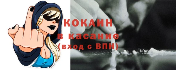 стаф Волосово